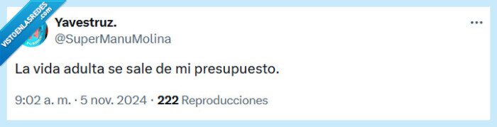 presupuesto,vida,adulto