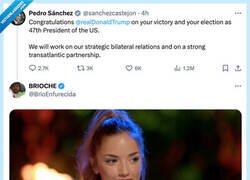 Enlace a La felicitación de Sánchez a Trump no se la cree ni él, por @BrioEnfurecida