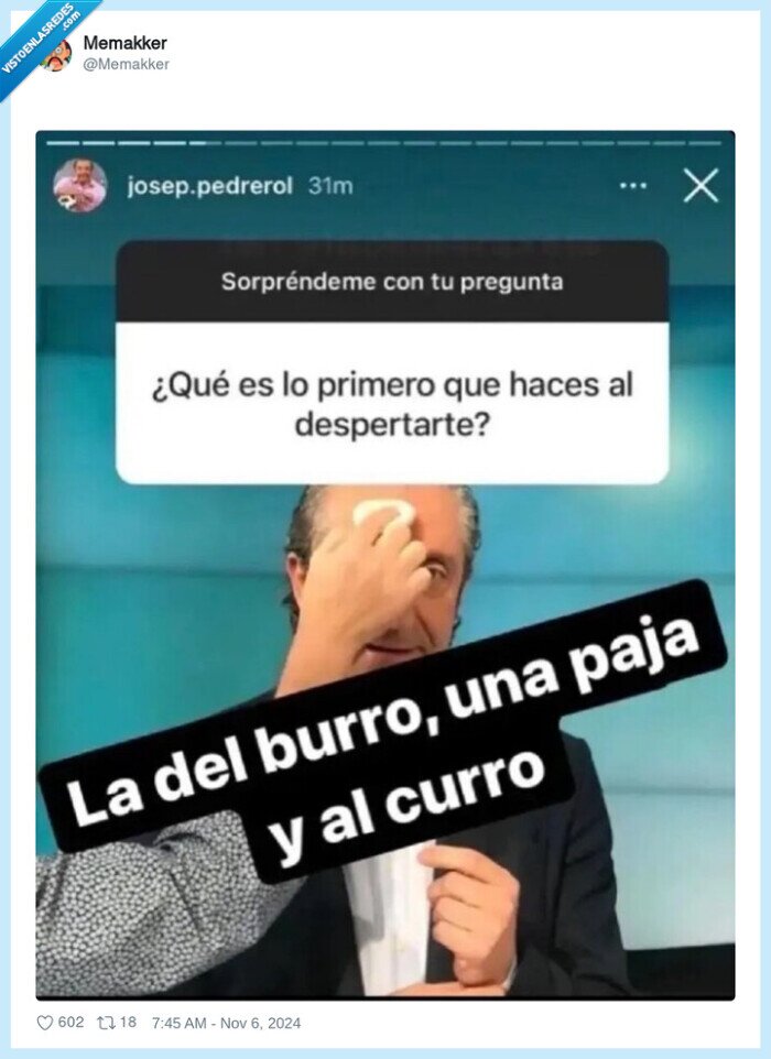 burro,curro,pajja