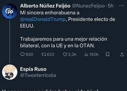 Enlace a Aquí ha ido a hacer daño, por @Tweeterricola