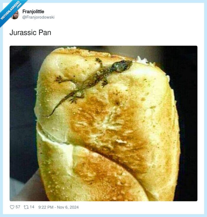 jurassic,pan,lagartija
