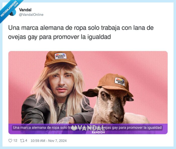 igualdad,gay,alemania,ovejas,rainbow wool