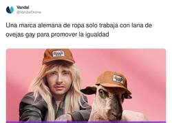 Enlace a Rainbow Wool ¿WHAT?, por @VandalOnline