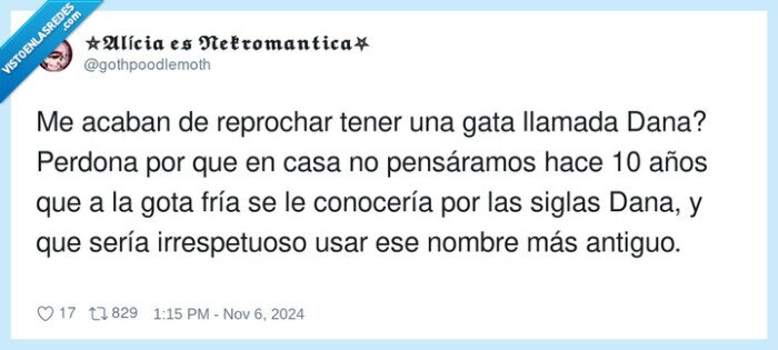 irrespetuoso,gata,dana,reprochar