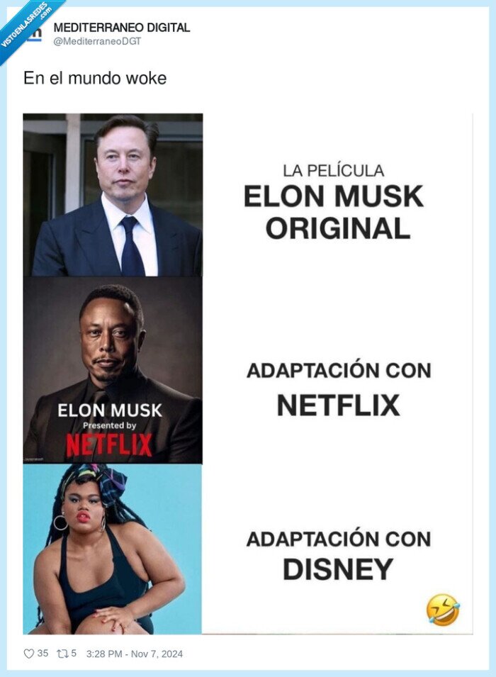 woke,netflix,elon musk