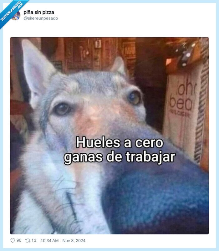 trabajar,ganas,perro,oler