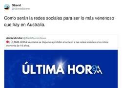 Enlace a Les dan más miedo que las arañas de 6 metros, por @SiberetSiberet
