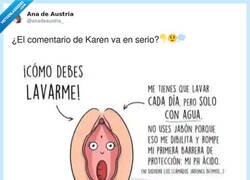 Enlace a Karen, ¿en serio?, por @anadeaustria_
