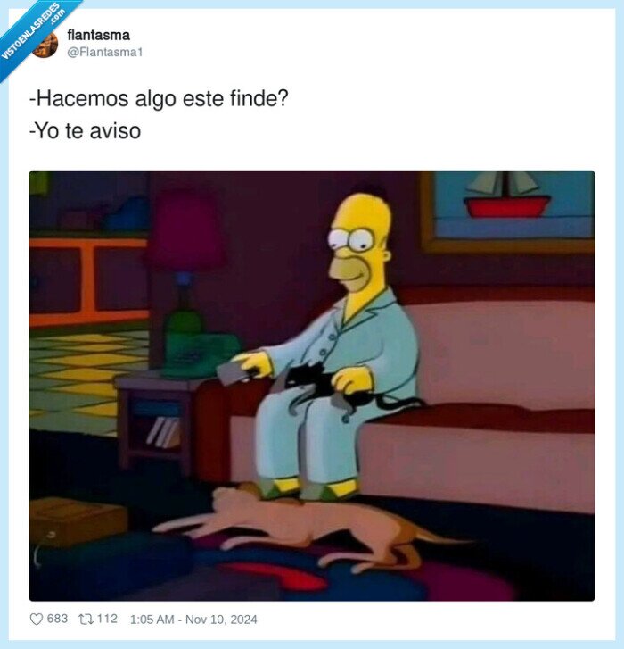 finde,avisar,planes,homer simpson,sofa,casa