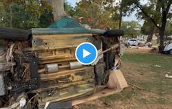 Enlace a No hay que subestimar a la naturaleza: ésta es la fuerza del agua y la del árbol, por @LethalCrysis