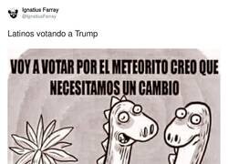Enlace a Auto-bombardeo, por @IgnatiusFarray