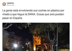 Enlace a Que alguien les diga que no va a servir de nada, por @ceciarmy