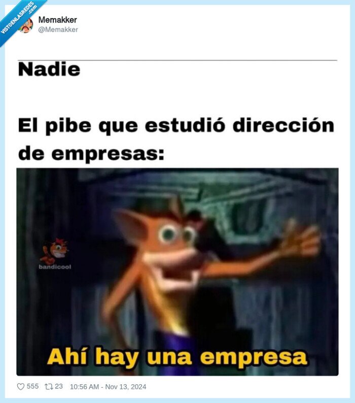 crash bandicoot,estudiar,direccion de empresas