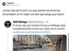 Enlace a Si es que no aprendemos, por @Supertramp9713