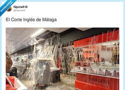 Enlace a ¡Que alguien salve esos jamones!, por @niporwifi