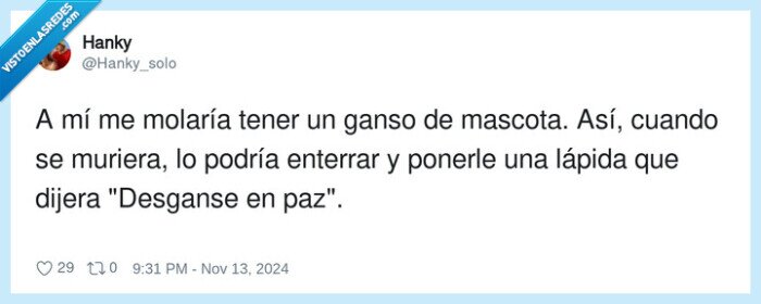 molar,morir,enterrar,desganse,ganso,mascota