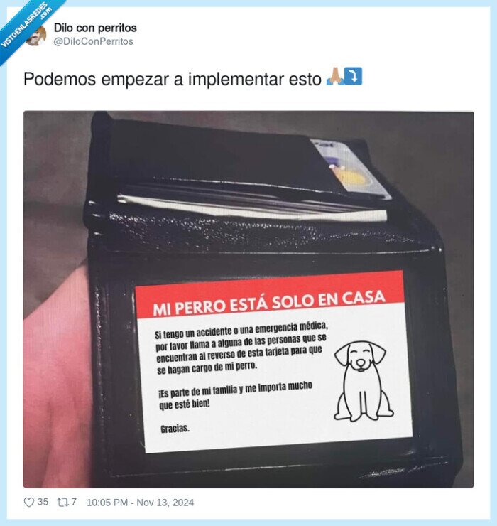 cartel,perrito,urgencia,emergencia,casa