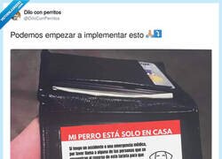 Enlace a Quiero uno, por @DiloConPerritos