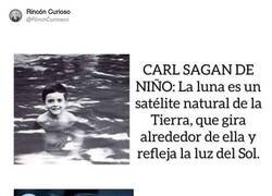 Enlace a Nunca he sido muy listo, por @RincnCuriosoo