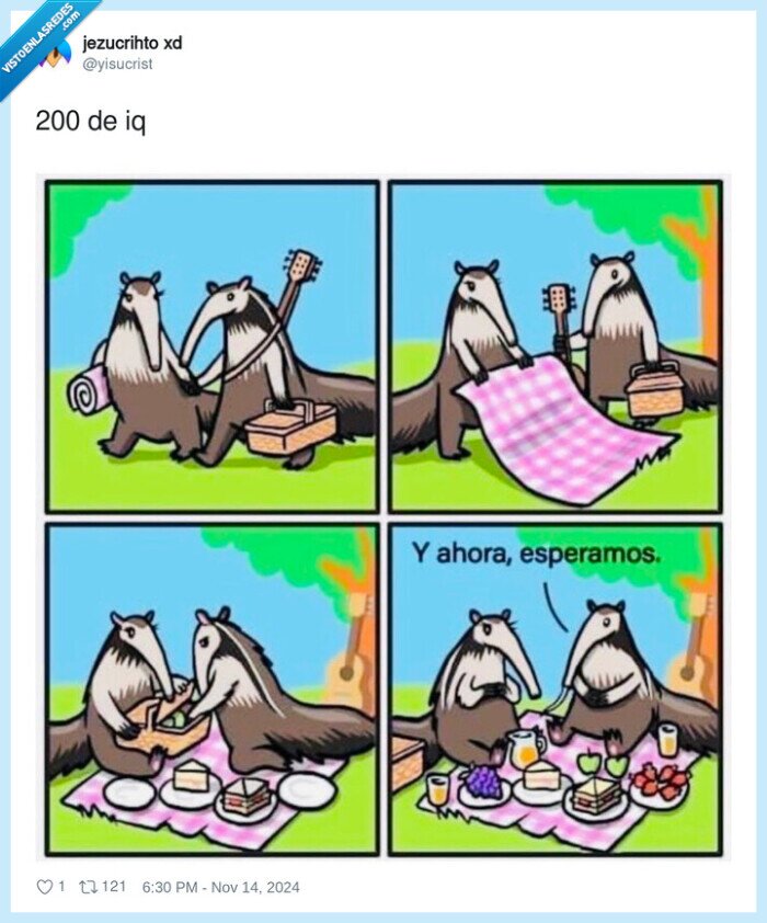 oso hormiguero,picnic,hormigas,atraer