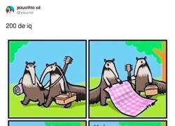 Enlace a Brutal inteligencia la del oso hormiguero, por @yisucrist