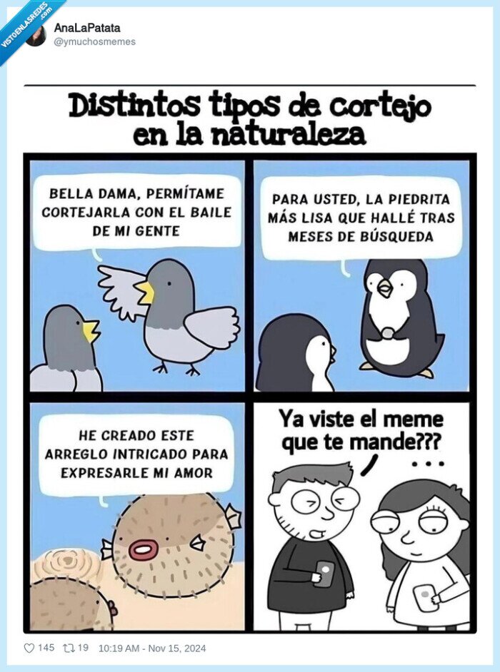 animales,ligar,naturaleza