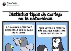 Enlace a Distintas formas de ligar, por @ymuchosmemes