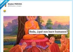 Enlace a O pasos de cebra, por @DSheldon_Cooper