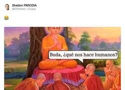 Enlace a O pasos de cebra, por @DSheldon_Cooper