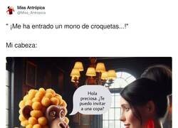 Enlace a Mono de croquetas, ésta no la vi venir, por @Miss_Antropica