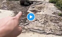 Enlace a Nunca sabes cuando un montón de porquería puede ser un tesoro