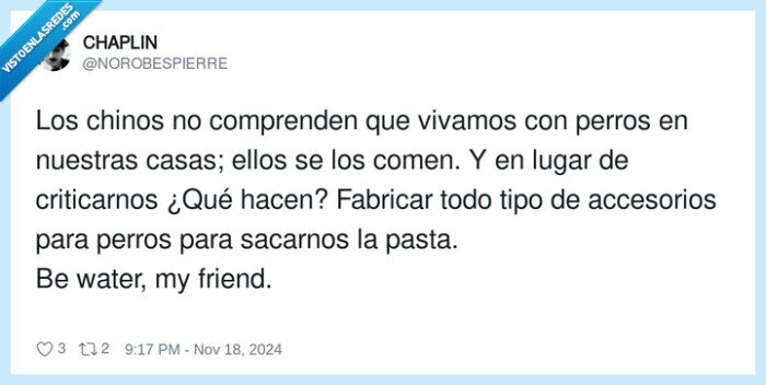 criticar,comprender,accesorios,perros,mascotas,fabricar