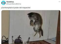 Enlace a Mapch Power! por @supermanumolina