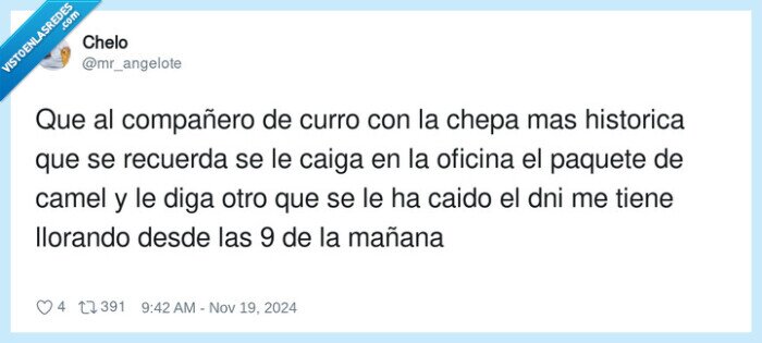 compañero,chepa,camel,dni