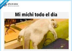 Enlace a Por eso son animales nocturnos, por @skereunpesado