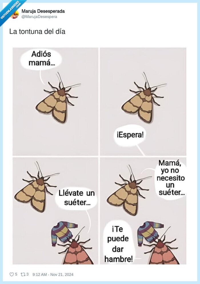 polilla,comer,jersei