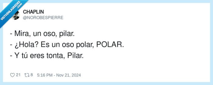 polar,pilar,oso