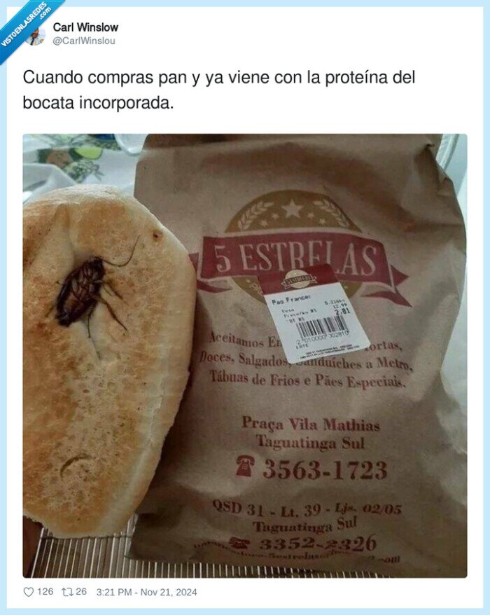 proteína,comprar,escarabajo,pan,bocata