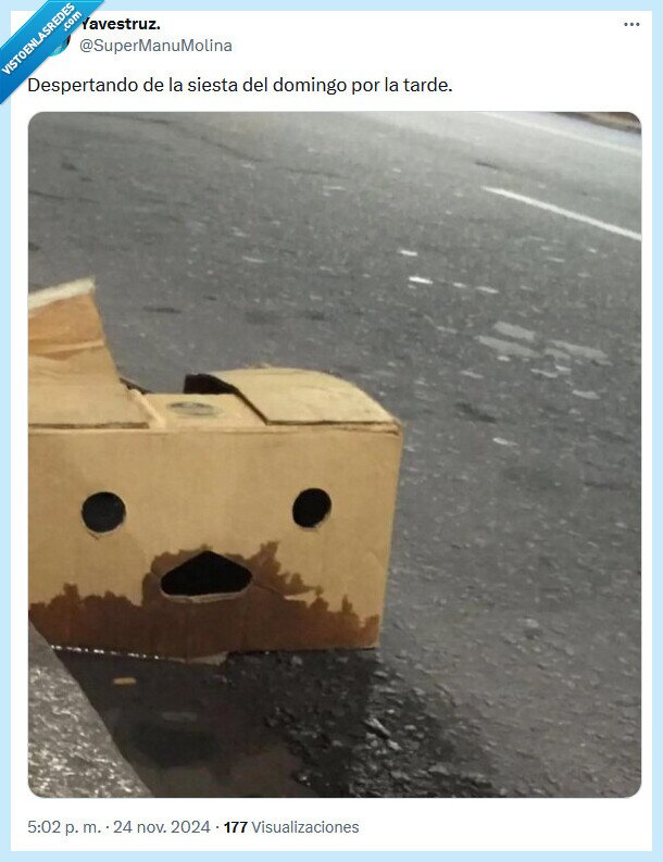 siesta,domingo,babas