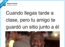 Enlace a Conservad a estos amigos, por @RincnCuriosoo