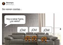 Enlace a Se vienen cositas, por @Rimanegra_