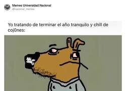 Enlace a Así acabo el año, por @nacional_memes