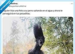 Enlace a Nuevo creepshow por @supermanumolina