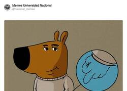 Enlace a El verdadero interior de Chill Guy, por @nacional_memes