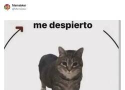 Enlace a El ciclo de la vida, por @Memakker