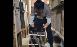 Enlace a No tendría este trabajo ni por todo el oro del mundo