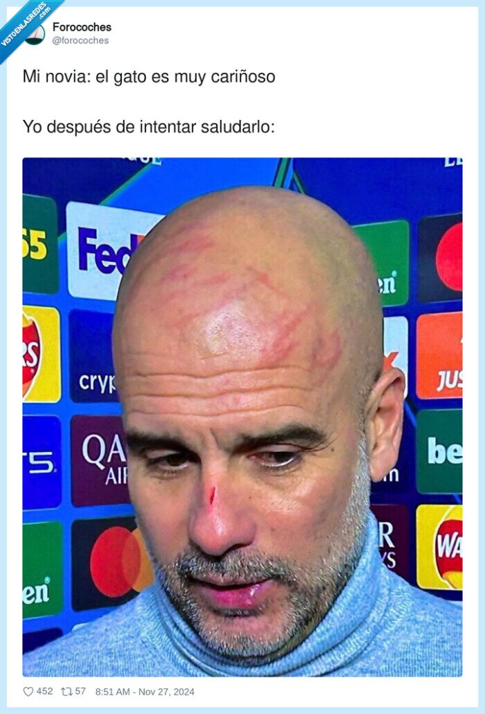saludarlo,pep guardiola,arañazos,novia,gato