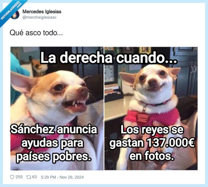 reyes,fotografia,caro,sanchez,ayuda