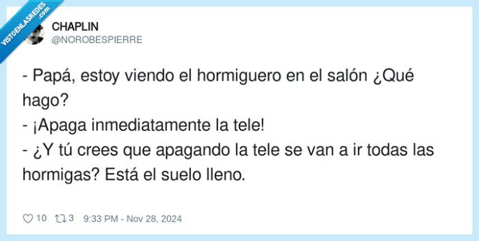 hormiguero,apagar,hormigas,papá