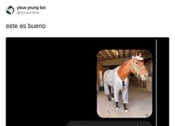 Enlace a La IA ya hace memes que lo petan, tengo miedo, por @yisuscribete